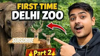 প্রথমবার দিল্লি জু ভ্রমণ 🐘🦌 | National Zoological Park Delhi | Part 2 #delhivlog @CamNasir