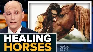 Harnessing The Power To Heal With Horses