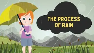 The Process of Rain || Explanation Text