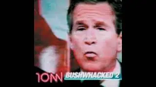 Chris Morris - Bushwhacked 2 (Adrian Sutton Mounting)