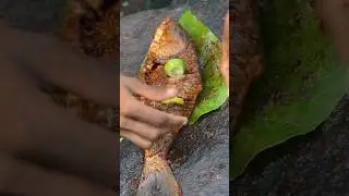 Roasted Wild River Fish | Primitive Cooking by the River 🐟🔥