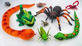 🦈Toy ASMR🦈RC SPIDER & RC Chameleon & RC Anaconda Snake ASMR Satisfying with Unboxing