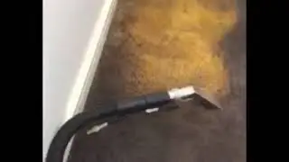 How to fix bleach spot (bleach stain) on the carpet. Spot dyeing technique. Australia
