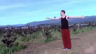 Acrylic Ball... Vineyard... Contact Juggling.