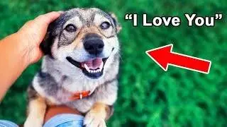 The Hidden Ways Dogs Communicate With Humans!