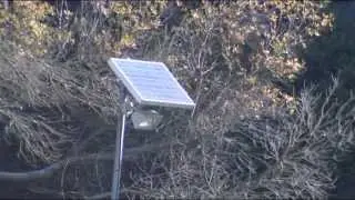 NC Solar Industry PKG