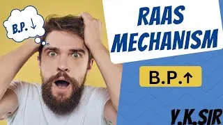RAAS | Renin-Angiotensin-Aldosterone System | Y.K.Sir