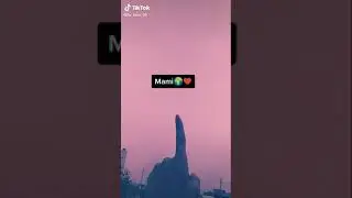 Mama  mami  ji