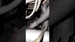 lancer alternator on gvr4  galant vr-4 legnum