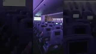Seat Economy Class Saudi Arabia Airlines #shorts #aamirrizvivlogs