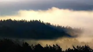 Nature || music || song || natur beauty