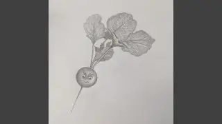 FS_PRODUCE_13