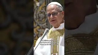 No plans for Pope Leo to visit the U.S. this year, Vatican says #shorts