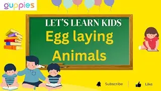 Egg laying animals for kids | egg laying animals for kids in english