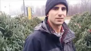 Locally Grown Christmas Trees in Central New York