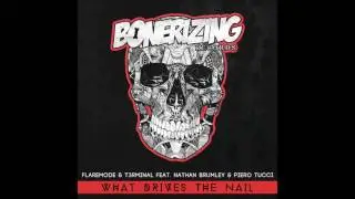 Flaremode & T3rminal feat. Nathan Brumley & Piero Tucci - What Drives The Nail