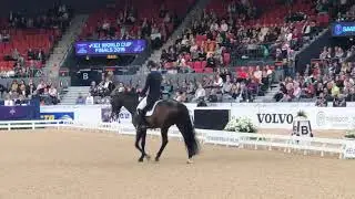 Daniel Bachmann Andersen, Blue Hors Zack | World Cup Finals 2019 | Gothenburg