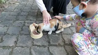 She Loves Feeding Stray Cats | Keep It Riyal Vlog