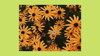 [FREE] Freestyle Type Beat - 
