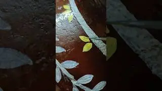 Pot makeover 🌻🖌️ ।। #shorts #art #painting #decoration #makeover