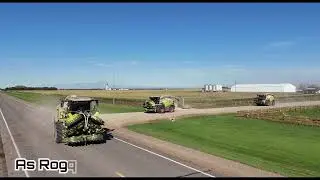 Rogers Custom Contractors Maize Harvest 2024