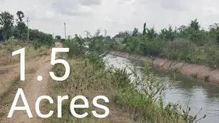 Ay) 1.5 AcreS | 136 Km From Bangalore | Village Nearby | 9538356699 | pl CONTACT@SurabhiProperties