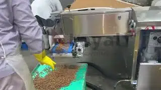 Industrial Pet Biscuit Processing Line for Export Market with Best Quality Assurance