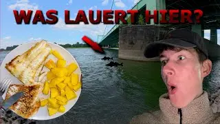 Zander Angeln am Rhein vom Biss zum Bissen 🎣🍽 catch & cook