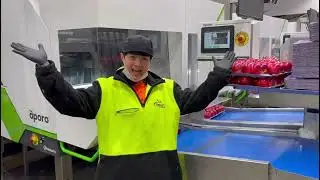 Welcome to Taylor Corp