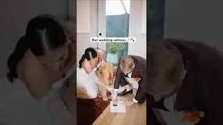 Наша собака подписала наше свидетельство о браке 👀