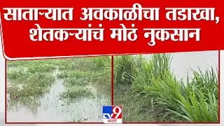 Satara Rain Alert | सातारा जिल्ह्याला अवकाळी पावसाचा तडाखा, शेतकऱ्यांचं मोठं नुकसान