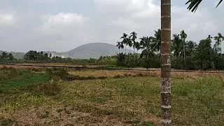 Home to Forest office in Andaman and Nicobar Island | view of andaman and nicobar island