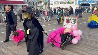 Ocean City NJ Dog Day and Howl O Ween Parade 2025