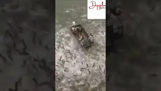 river fishing video 😱😱😱😱 #shorts