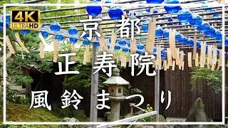 夏の京都 涼を求めて 2025 〜 正寿院 〜 鎌倉創建の古刹。夏には二千個を超える風鈴が涼やかな音色を奏でる風鈴まつりが暑気を払ってくれます[No.584]