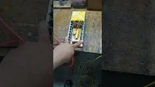k&iacute;ch c&aacute; ng&acirc;m nước lh0346583785 gặp huy ro phi loc tre lương chạch ro đồng