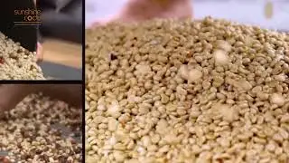 Arabica Coffee From Handpicked Harvest to Perfect Roast   Peeling, Washing, Drying