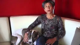 palm-springs-pet-friendly-mineral-hot-springs