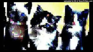 sold Joeyy Type Beat