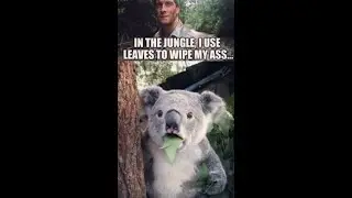 😆Funny Memes, Puns & Jokes 😆 Episode 210 😆 TRY NOT TO LAUGH 😆 BIG Compilation 😆Best On the Internet!