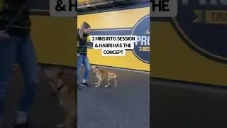 Target Training