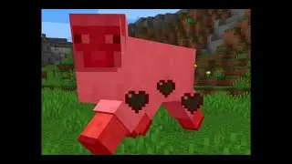 Minecraft|More Minigame|The Cube Maze Of Death...why you killed my sheep