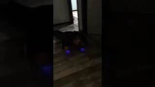 Hoverboard drama
