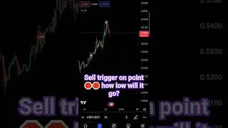 16 February 2024 Sell trigger on point 🛑🛑 how low will it go?