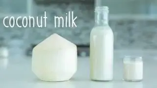 How to Make Coconut Milk | The Yoga Plate