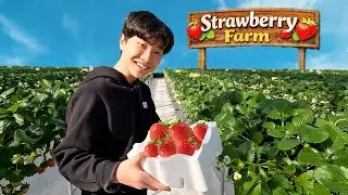 Yejun Visit Strawberry Farm | Learn Planting, Harvest Fruit for Kids