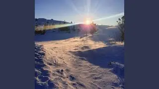 Sn&oslash;flakene i vinden