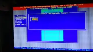 Configure LSI Mega Raid in Cisco C220M3