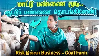 மாட்டுப் பண்ணையை விட்டு ஆட்டுப்பண்ணை வளர்க்கும் விவசாயி பெண்மணி