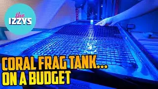 Frag Tank On A Budget!